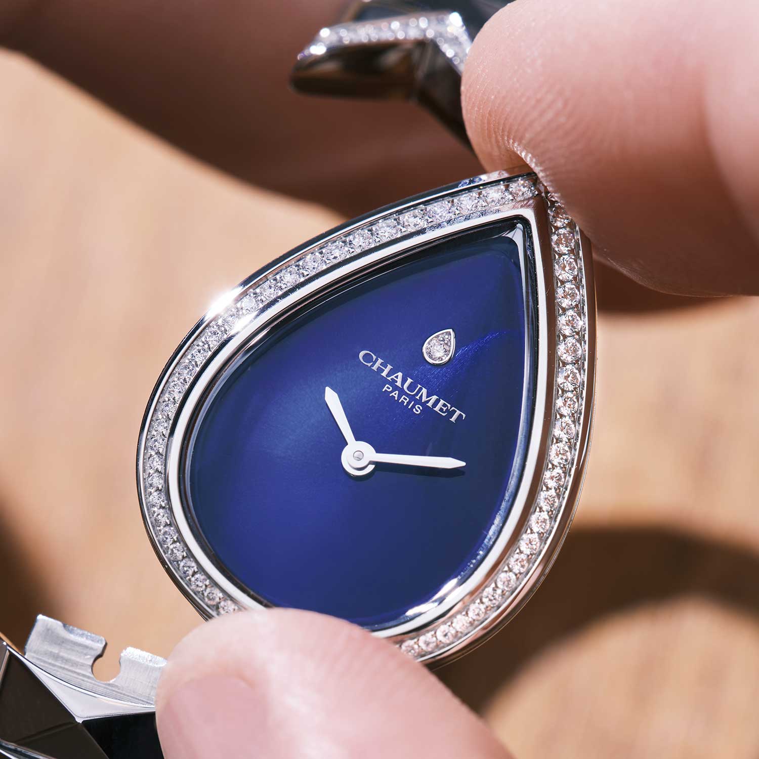 Chaumet Joséphine Aigrette W85845